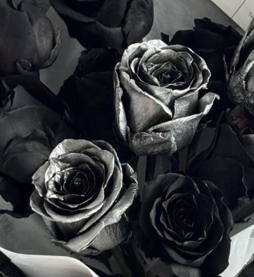 玫瑰花黑色的寓意是什么？黑色玫瑰花代表什么？