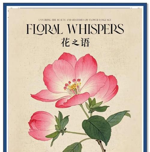 哪种花象征死亡与新生？花语中有哪些深意？