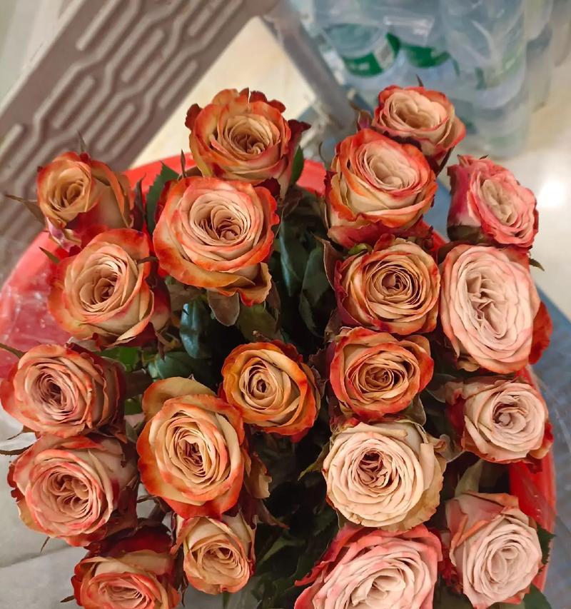 蓝冰玫瑰的花语是什么？这种颜色的玫瑰有何特殊含义？