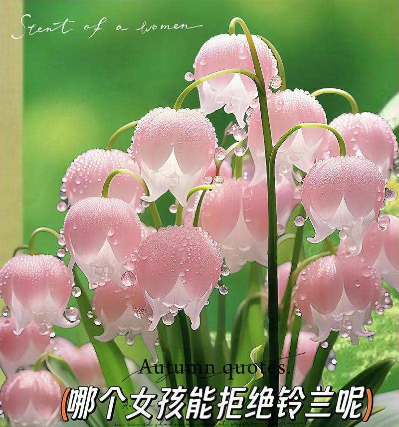全网最爆火的花语是什么？哪种花语最受欢迎？