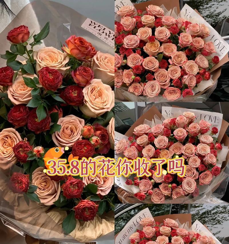 泡泡花语有何特别之处？泡泡的寓意是什么？