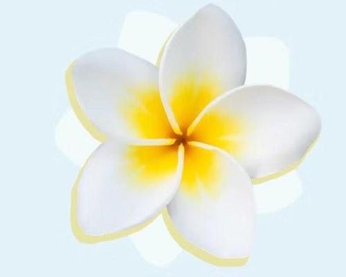 鸡蛋花的花语代表什么？在送礼时有何特别含义？