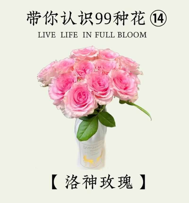 玫瑰花在婚礼中的寓意是什么？