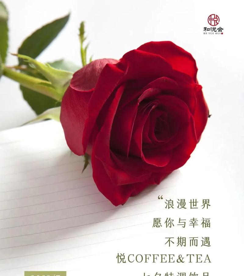 最美的玫瑰花语有何深意？