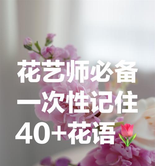 玫瑰花象征热恋的花语是什么？
