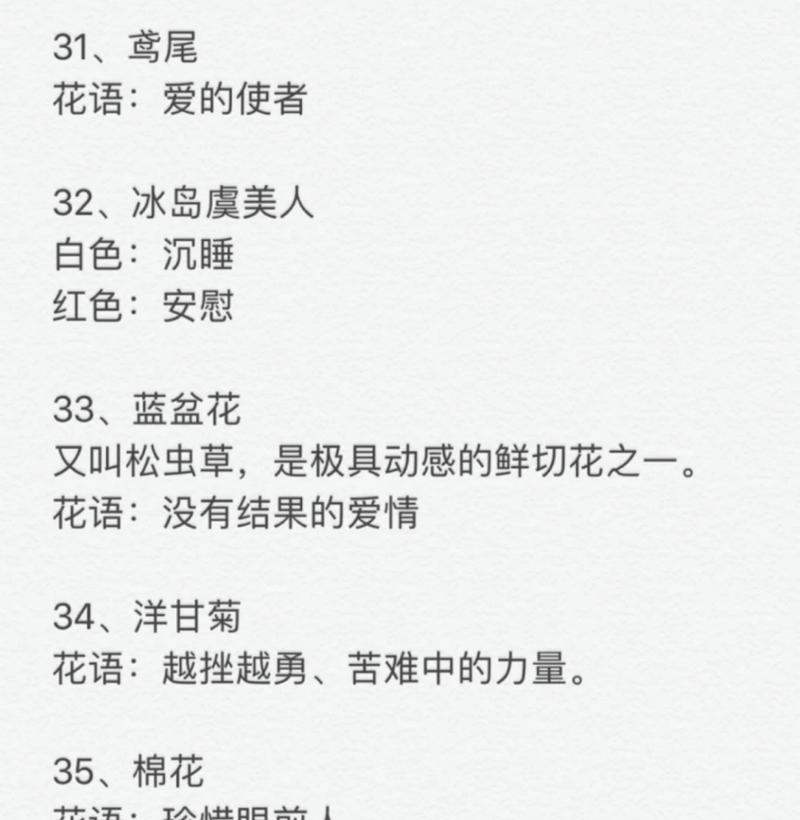 玫瑰花象征热恋的花语是什么？
