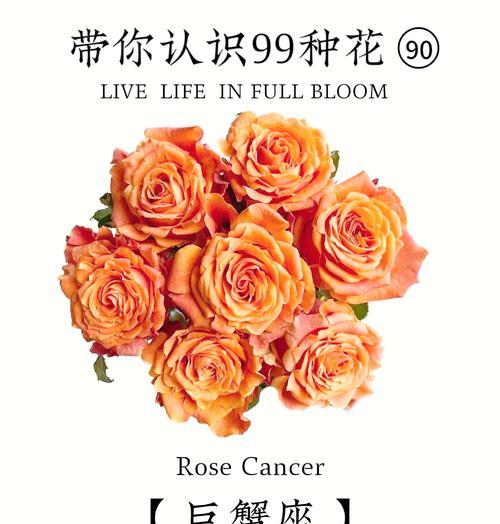 黑白99朵玫瑰花的含义是什么？如何表达永恒的爱？