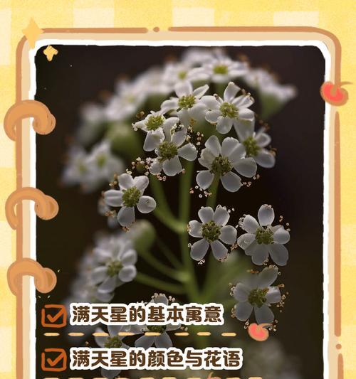 水晶树的花语寓意是什么？