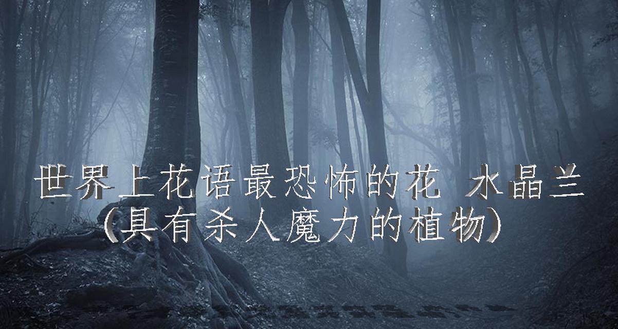 哪种花的花语是见证终焉？