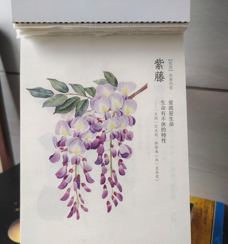 紫藤花的花语代表什么？紫藤花语的寓意是什么？