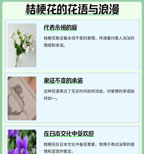 哪种花的花语代表治愈？治愈疾病的花语句子是什么？