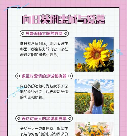 哪种花的花语代表治愈？治愈疾病的花语句子是什么？