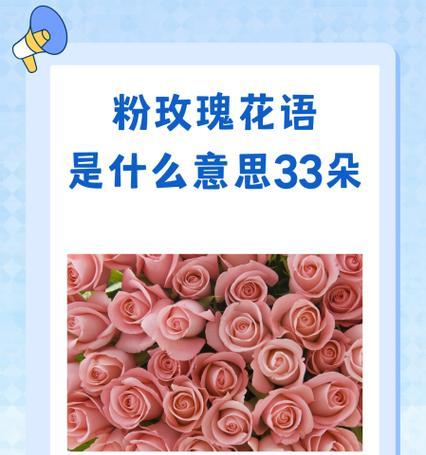 白罗花语是什么意思？水桃玫瑰的花语又是什么意思？