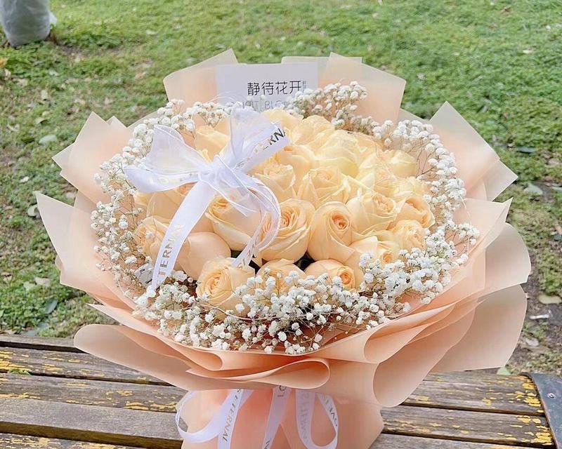香槟小香花的花语有何深意?