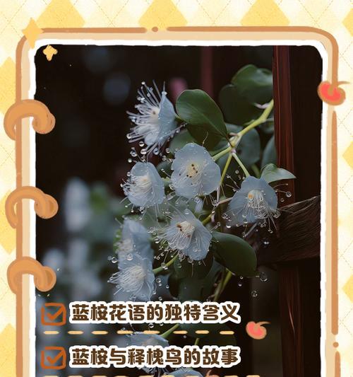 花语外表与内心不符什么意思？如何解读花语中的深层含义？