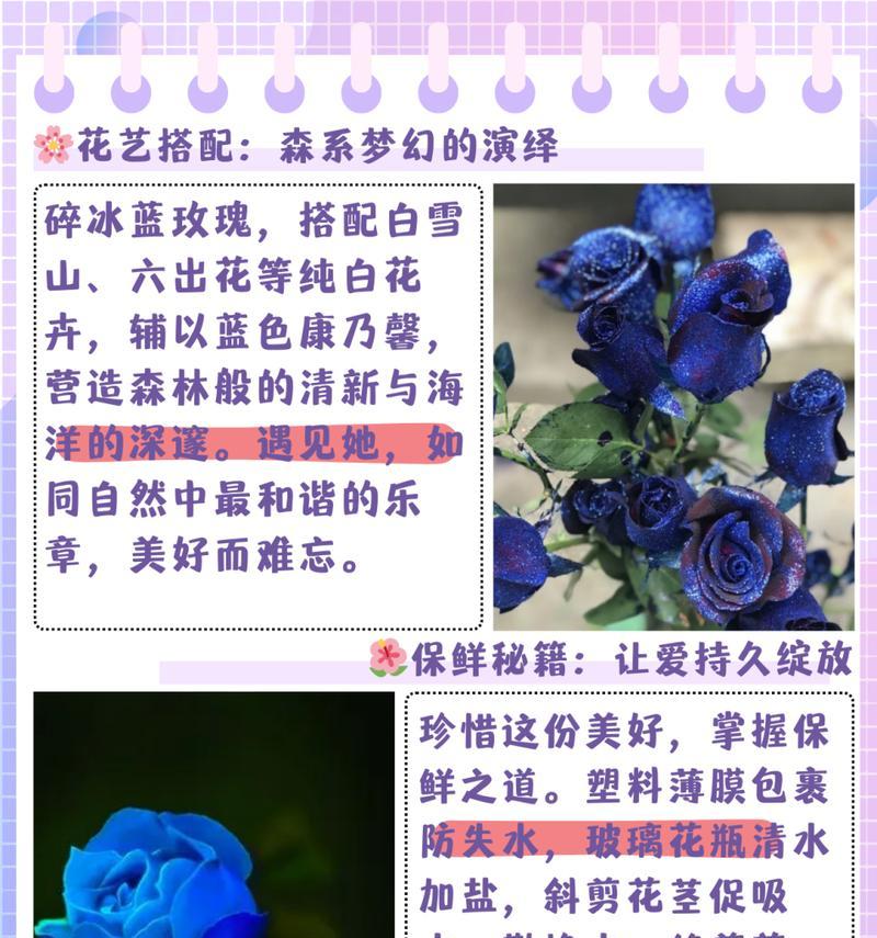 小公主玫瑰的花语是什么？它代表什么意义？