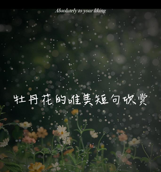 清新牡丹的花语代表什么？如何用牡丹花表达清新？