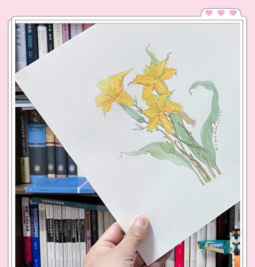 曾经看过的花语有哪些？它们代表了什么？