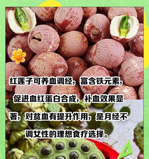 白莲和红莲的花语是什么？白莲与红莲各自有何寓意？