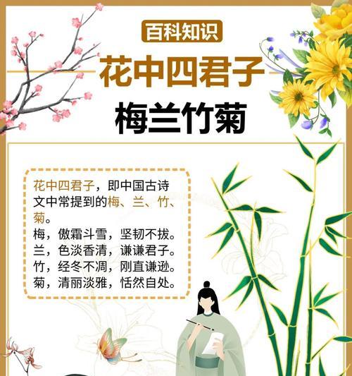 送给大夫花的花语是什么？哪种花适合送给医生？