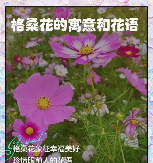 花语一词是如何产生的？它背后有哪些故事？