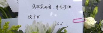 青春落幕的花语代表了什么？