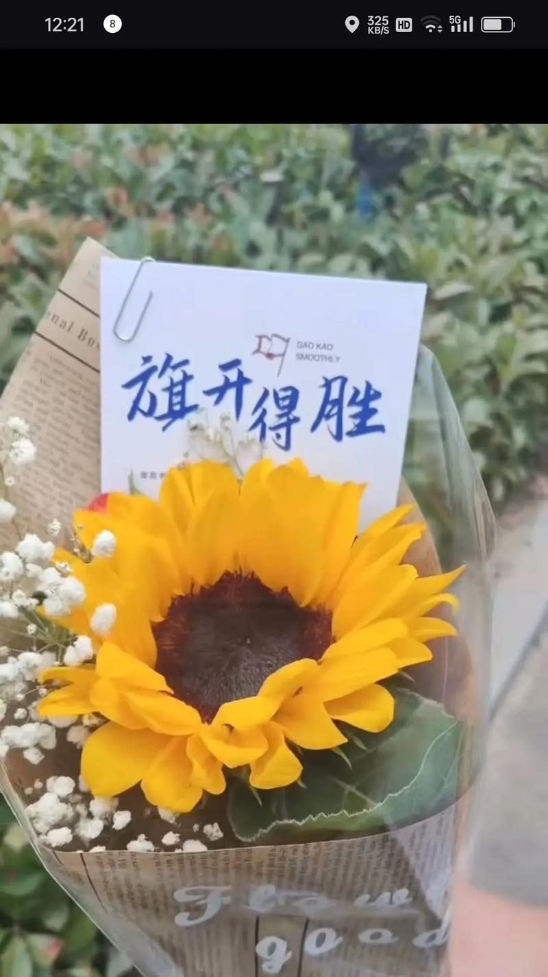 青春落幕的花语代表了什么？