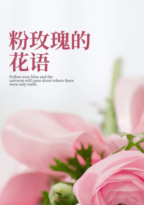 漫天纷飞的花语有何含义？适合表达什么情感？