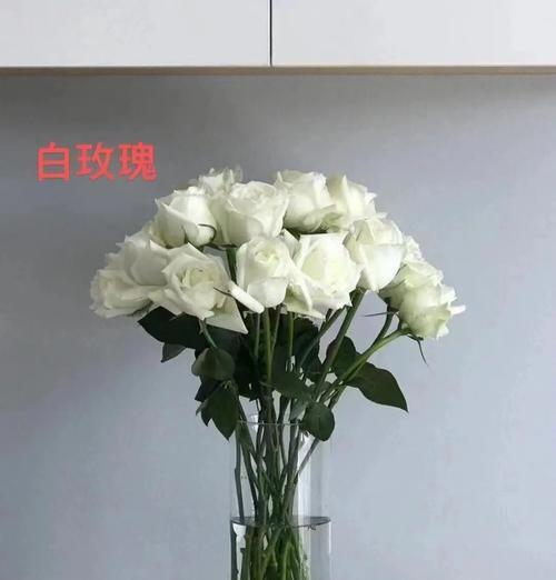 漫天纷飞的花语有何含义？适合表达什么情感？