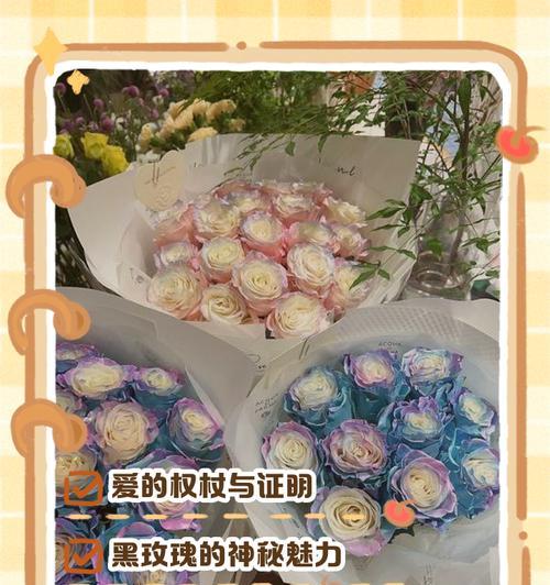 浴火玫瑰的花语有何深意？它象征着什么？