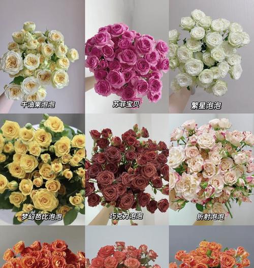 浴火玫瑰的花语有何深意？它象征着什么？