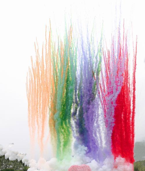 烟花盒的花语是什么意思？烟花盒代表了哪些寓意？