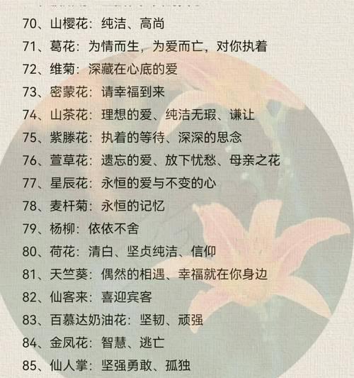 月季花的花名和花语是什么？它的寓意又是什么？