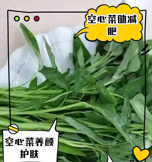 空心菜的花语是什么？空心菜的寓意有哪些？