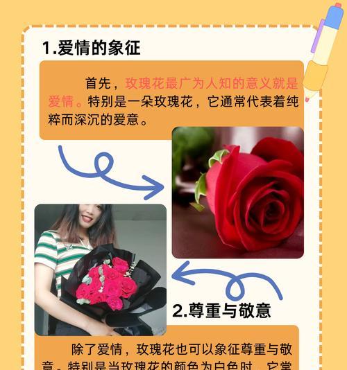 女性跪下撒玫瑰花有何象征意义？背后含义是什么？