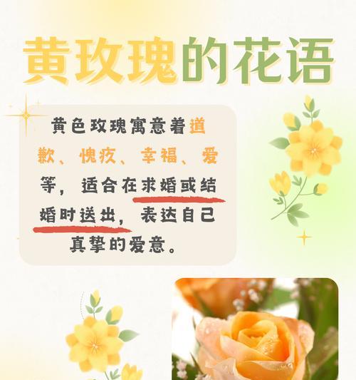 如何用花语大方示爱？