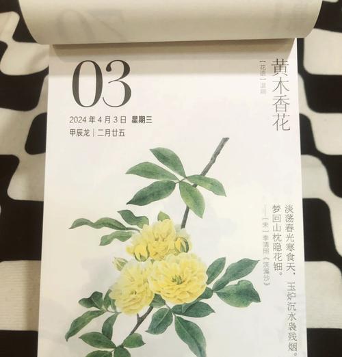 内敛自信的花语通常表达什么样的情感？