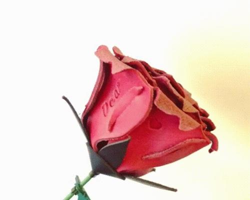 道具动态的花语是什么意思？如何理解道具的花语？
