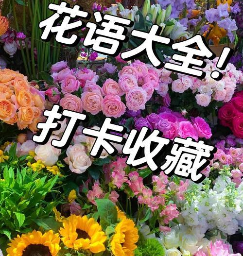 什么花语最能惊艳到人？送花时如何选择最合适的花语？