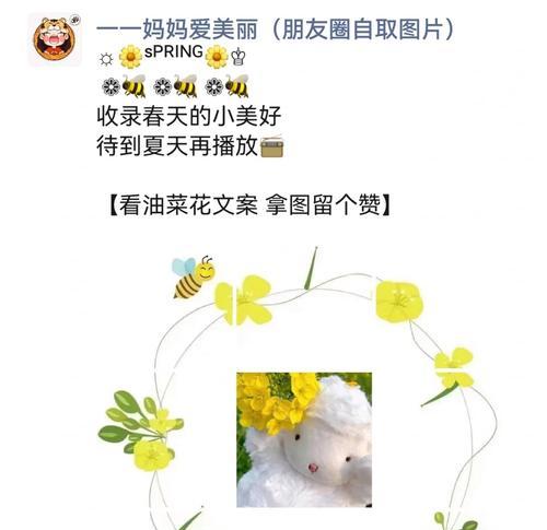 上海青的花语代表什么？它有什么特别含义？