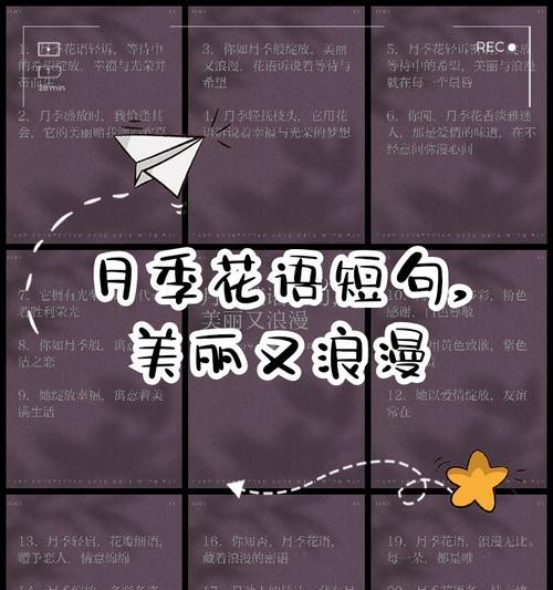 满心花语的含义是什么？满心花语代表什么？