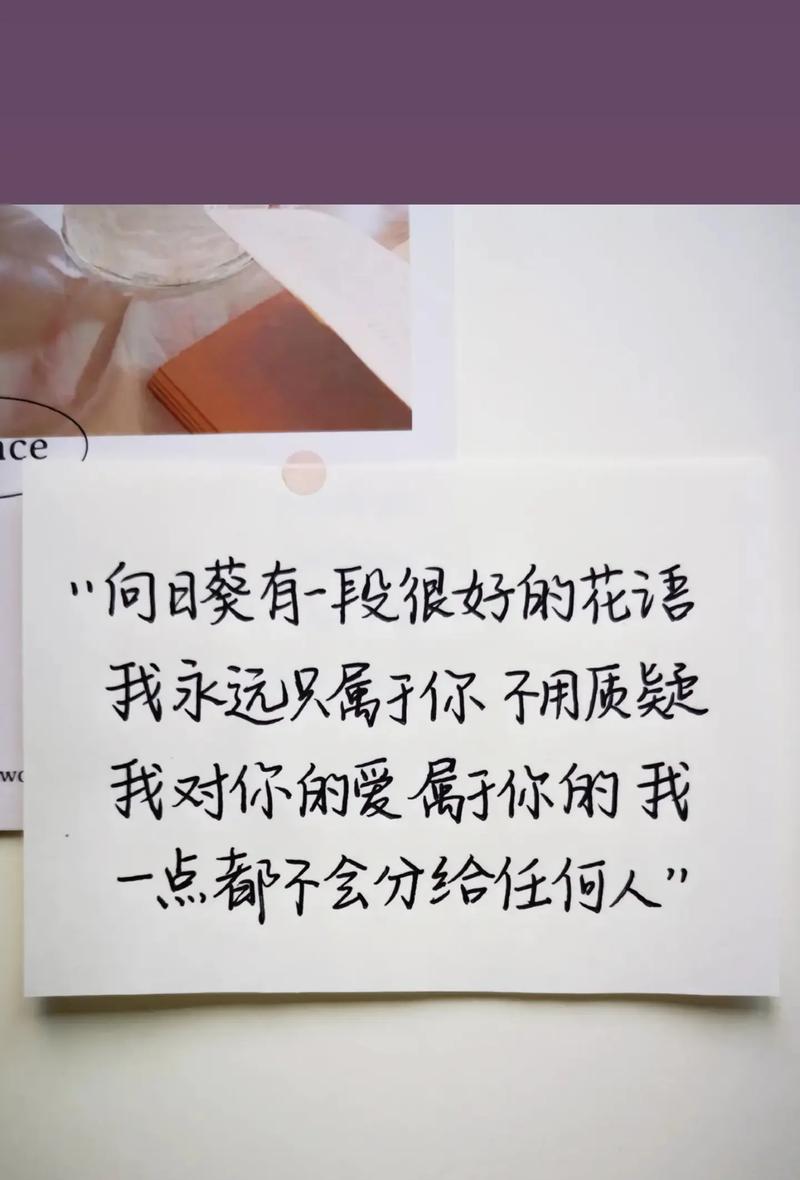 向日葵对男孩有什么特别的花语吗？