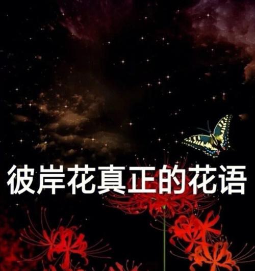 花语与什么因素有关？花语背后的文化含义是什么？