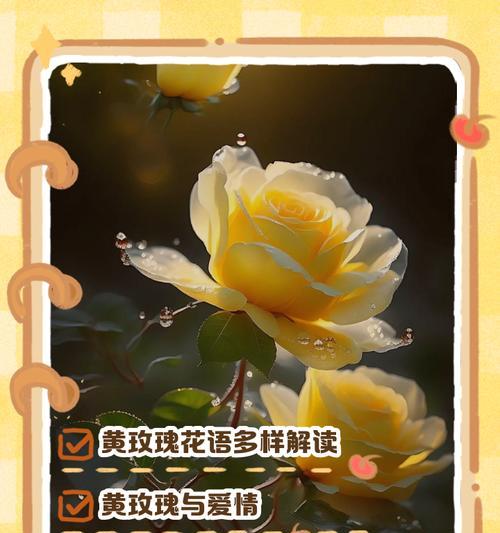 花语与什么因素有关？花语背后的文化含义是什么？