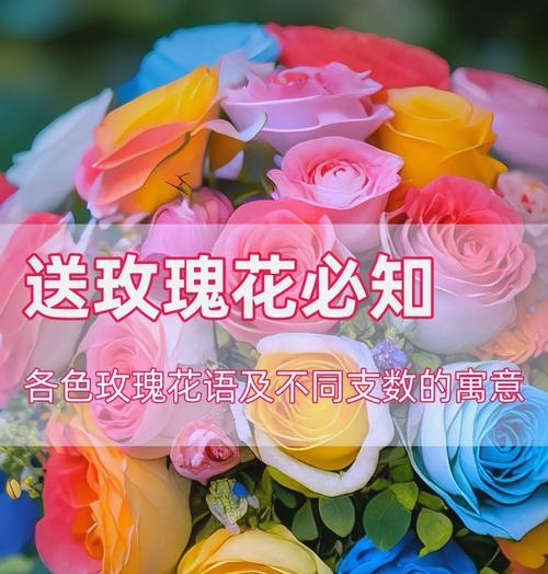 送多少朵玫瑰花代表什么意义？
