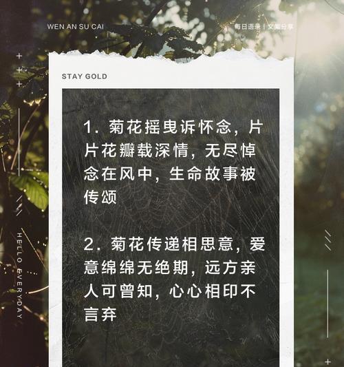 怀念的爱花语通常用哪种花表达？花语中代表怀念的是什么？