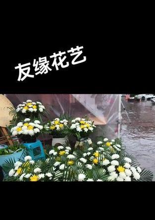 怀念的爱花语通常用哪种花表达？花语中代表怀念的是什么？