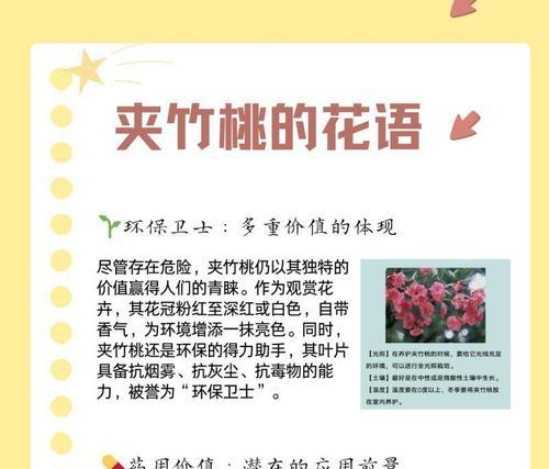 哪些花语代表了特别的存在？