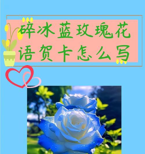 秀恩爱的玫瑰花语是什么？送玫瑰花有哪些含义？