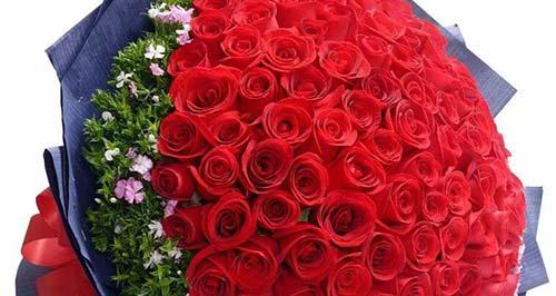 乐事玫瑰花适合送给哪种朋友？乐事玫瑰花的花语是什么？